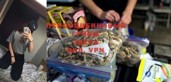 твердый Алексин