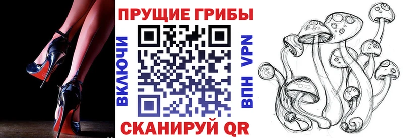 OMG   Новая Ляля  Галлюциногенные грибы Cubensis 